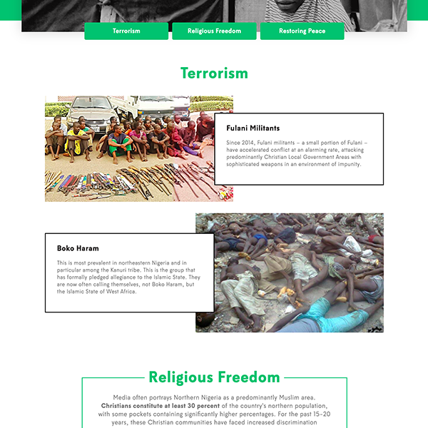 stand with nigeria website